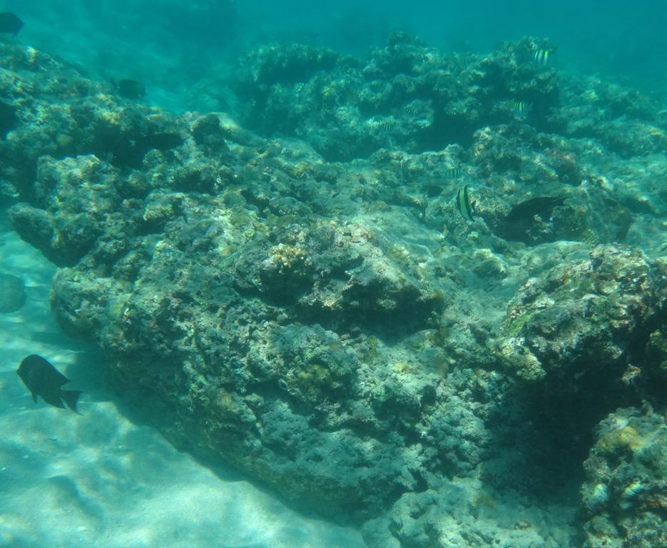 Wera Beach Kadumbul Exterior foto