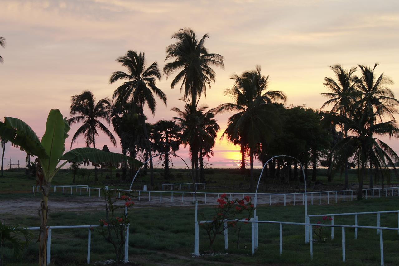 Wera Beach Kadumbul Exterior foto
